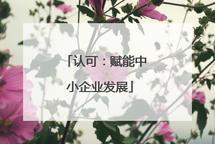 认可：赋能中小企业发展